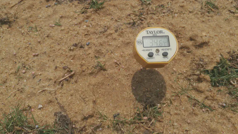 The soil temperature at a 5 cm depth immediately after planting manilagrass stolons on 22 April.