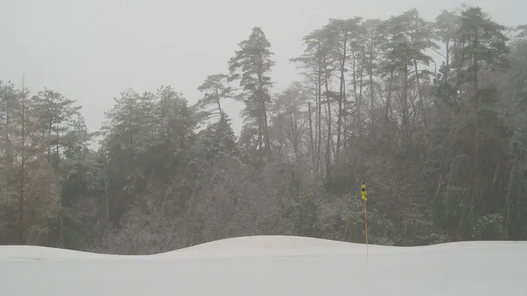 Early spring snowfall on an L-93 creeping bentgrass green at a golf course near Hiroshima.