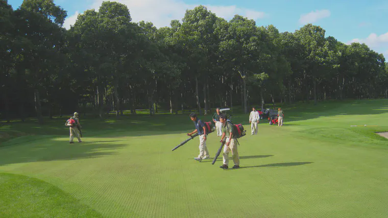 A late July solid-tine spiking treatment of a creeping bentgrass green in Hokkaido, Japan.