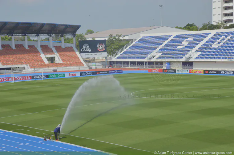 April: seashore paspalum at Suphanburi