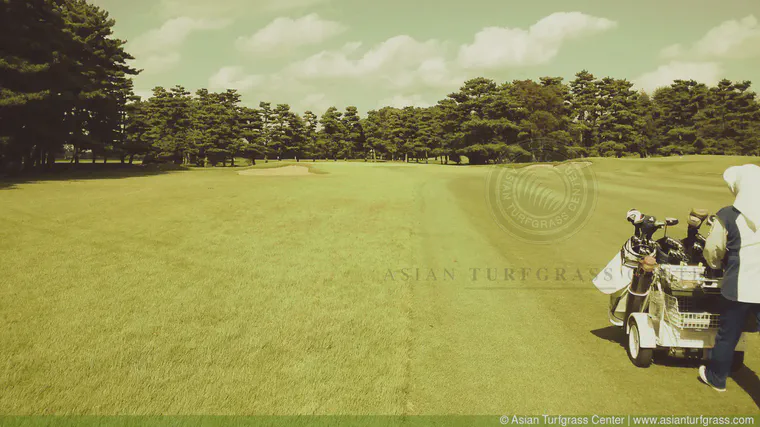 Takanodai Golf Club in Chiba prefecture has hosted many tournaments. This photo was taken when the fairways were narrowed in advance of the 2011 Japan Open.