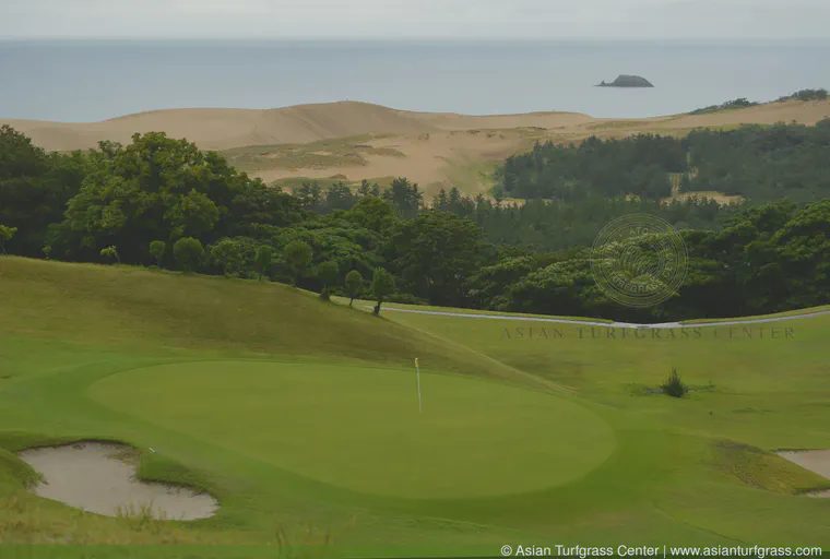 September: A korai green at Tottori Golf Club.