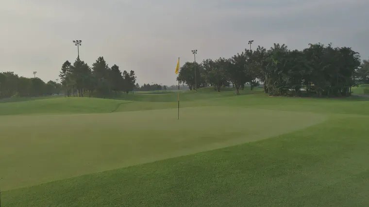 Sea Isle 2000 seashore paspalum on the 12th green at Van Tri GC during May.