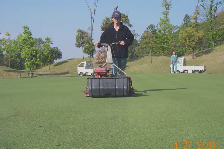 Mowing a green at Habu CC after an April verticut.