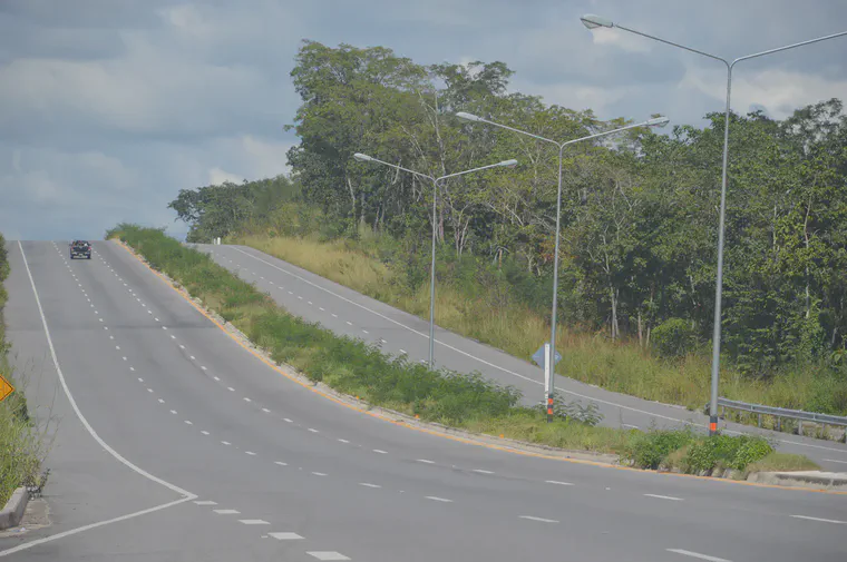 Photo from November 2021: A highway median in Lampang, Thailand, sodded with manilagrass (*Zoysia matrella*) in 2020.