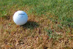 Correcting a common misapprehension about seashore paspalum