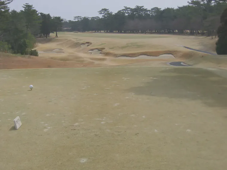 The 18th tee at Hirono GC near Osaka in 2006 after more than four months of dormancy.