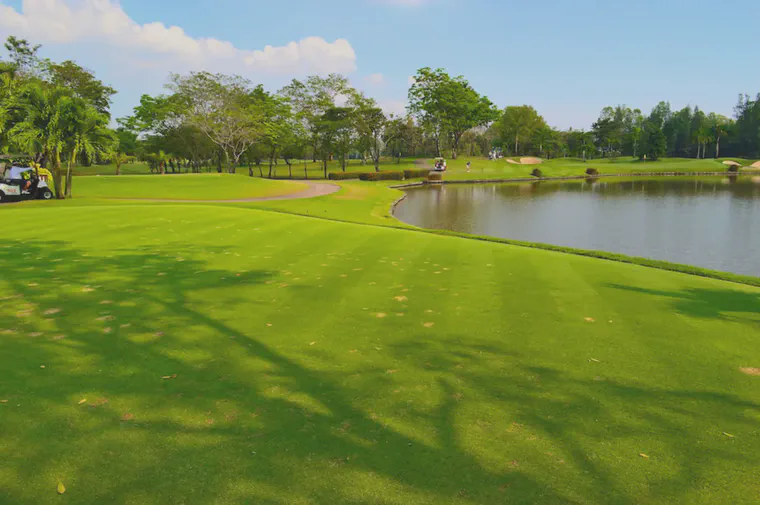 A fine-bladed manilagrass tee on the par 3 seventh at Muang Kaew GC in Bangkok; about 72,000 rounds a year are played at this course