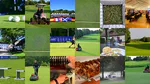 A pesticide free golf course