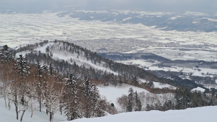 Figure 1. The snow-covered landscape of central Hokkaido in mid-March 2024 when the growth potential was 0 but the DLI was fine.