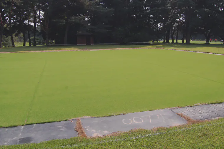 The extensive bentgrass nursery at Kasumigaseki CC in 2010.