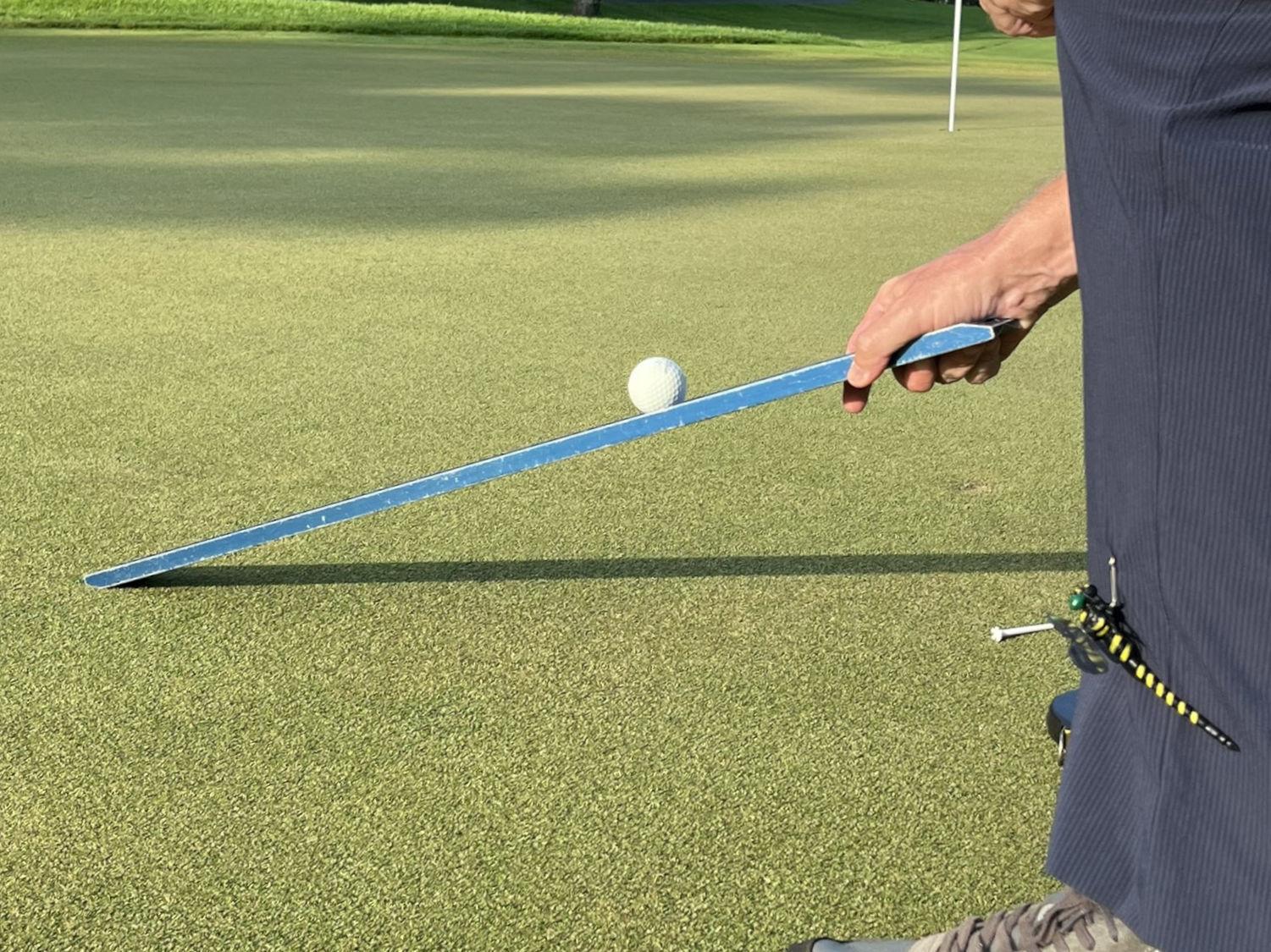 Bobble test rating scale | Asian Turfgrass Center