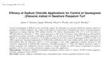 Can sodium chloride control weeds in seashore paspalum turf?