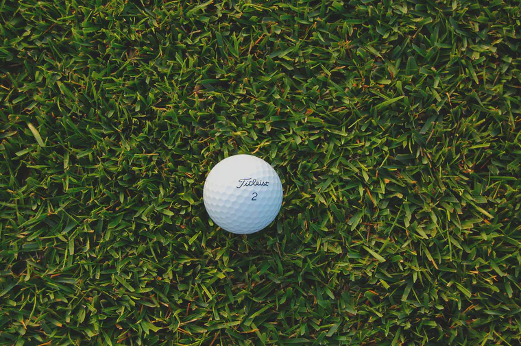 *Zoysia japonica* var. 'Zenith' mown at 15 mm.