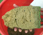 Cation exchange capacity in sand rootzones