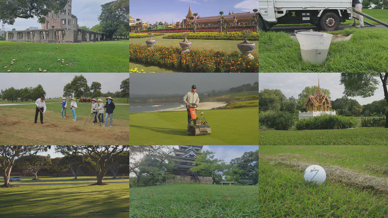 The quantity of nutrients required as fertilizer depends to some extent on whether clippings are being removed or returned.