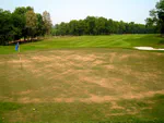 Diagnosing turfgrass diseases