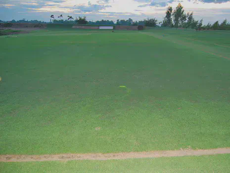 The yellow pen marks the farthest extent of manilagrass invasion into a plot of bermudagrass.