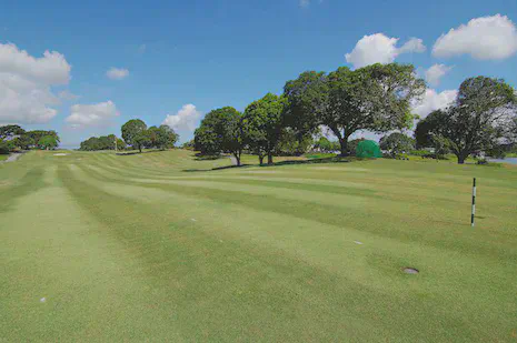Manilagrass fairway on the Player Course at Orchard Golf and CC in the Philippines.