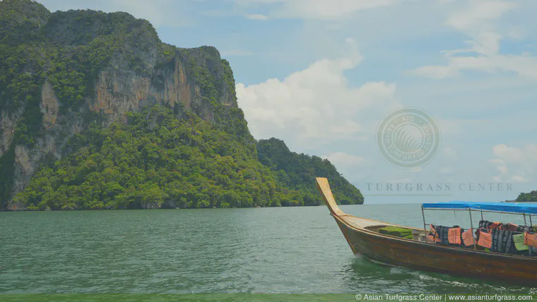 I got a tip about a grass shipment happening one day in the Strait of Malacca. I chartered my own boat and went to take some photos. I ended up making [this video](https://youtu.be/5rWaSy8eRQ0) about that day.