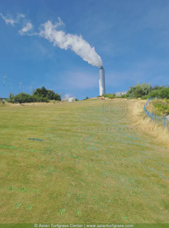 Near Copenhagen in July, I took a field trip at the International Turfgrass Research Conference that brought me to a grassed ski slope that is [on top of a power plant](https://en.wikipedia.org/wiki/Amager_Bakke). Extraordinary!