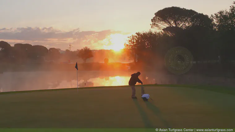 This is actually a capture from a video I took of cup cutting at Camiral during the Catalunya Championship. The bentgrass greens were superb; I wrote a blog post about [the conditions that week](https://www.asianturfgrass.com/post/our-vip-tent-seminar-at-catalunya-championship/).