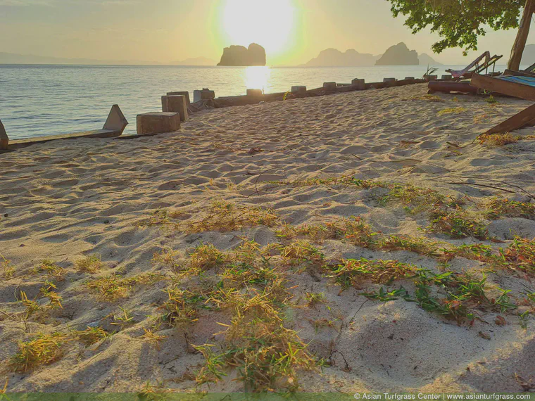 Sunrise in the Andaman Sea, February