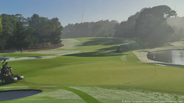 Morning at The Australian Golf Club, November