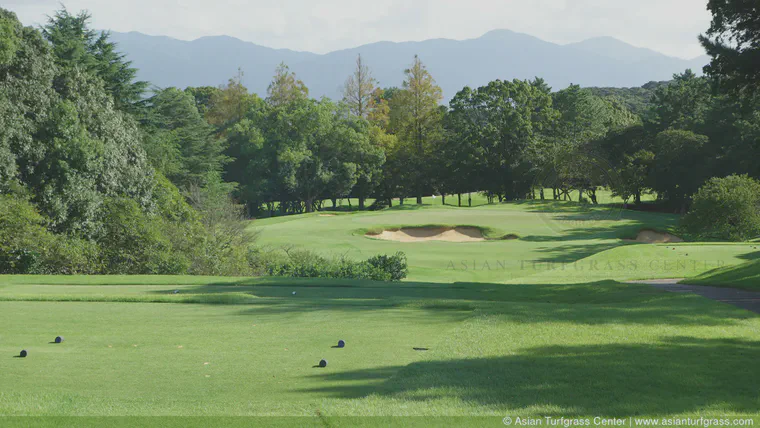 Downhill twelfth hole at Keya GC, September