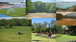 Flights and favorite turf photos of 2019