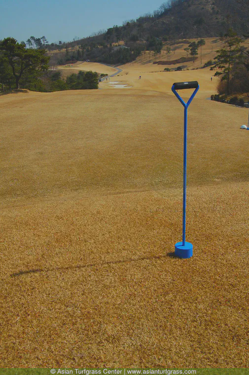 This tool for getting tees into frozen ground is provided as a convenience on a golf course tee in Korea.