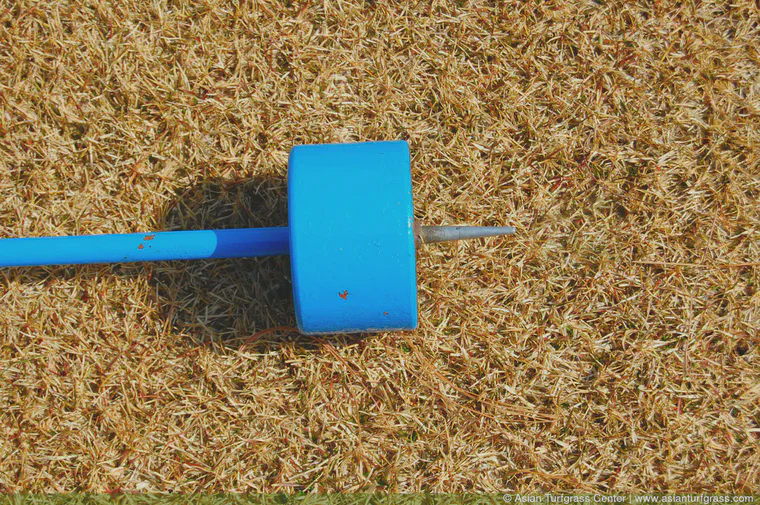 The weighted and spiked tool makes a space in frozen soil into which a tee can be placed.