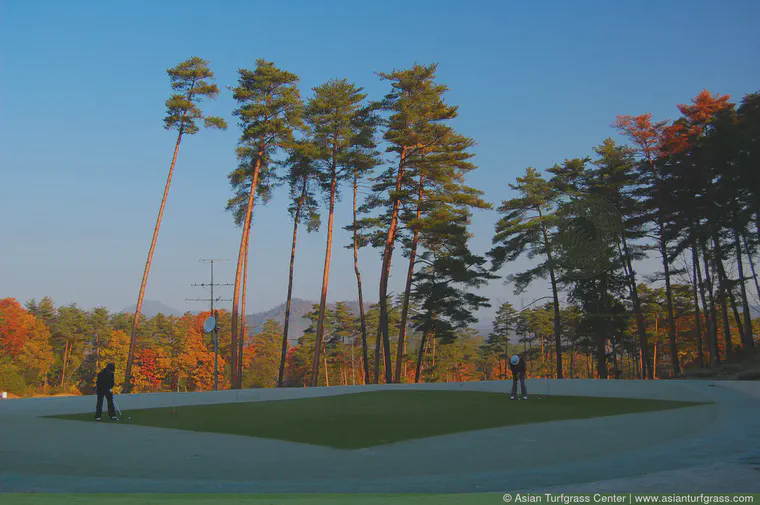 A frost cover on the practice putting green allows golfers to warm-up on a portion of the green that doesn't have frost.