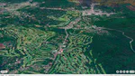 Golf course grass in Japan