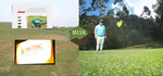Good turf, bad turf, and MLSN