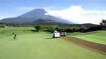 "Green sweepers that work beautifully"