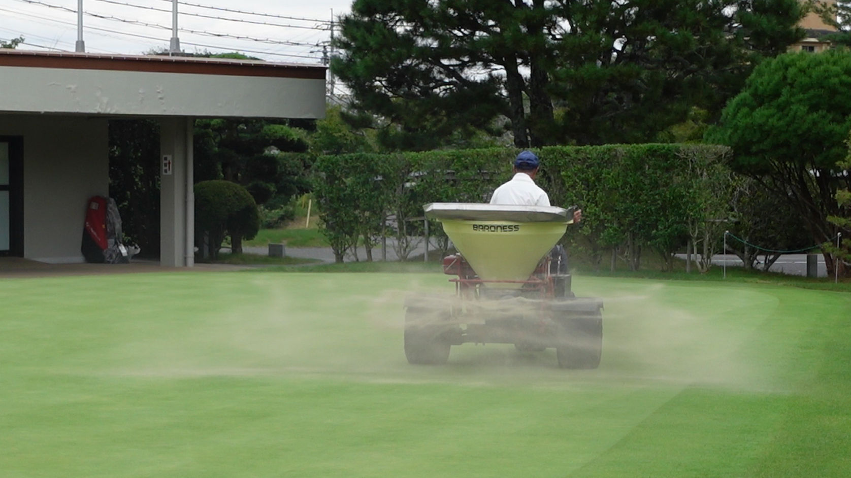 GvX and sand | Asian Turfgrass Center