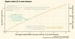 How much carbon and humus are in the soil?