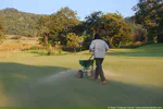 I was surprised to read this about nitrogen, coring, and sand topdressing