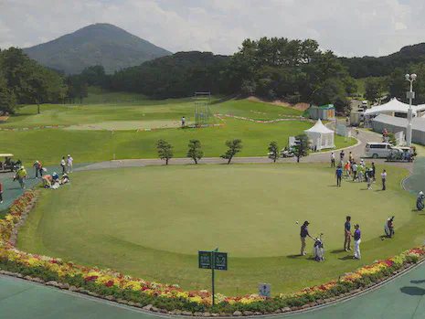 No fairy ring symptoms, putting green, August 2014