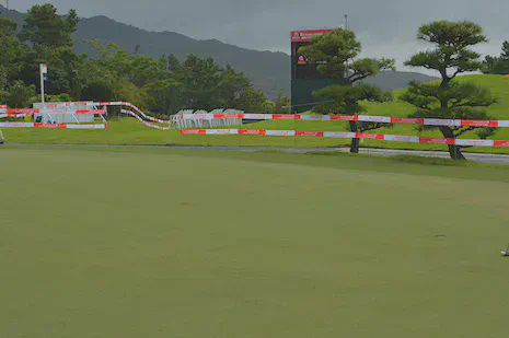 No fairy ring symptoms, putting green, August 2014