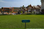 Javagrass lawns in Bangkok