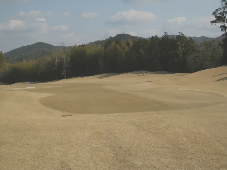 Dormant korai (*Zoysia matrella*) fairway and noshiba (*Zoysia japonica*) rough free of visible weeds or disease symptoms in western Japan, March