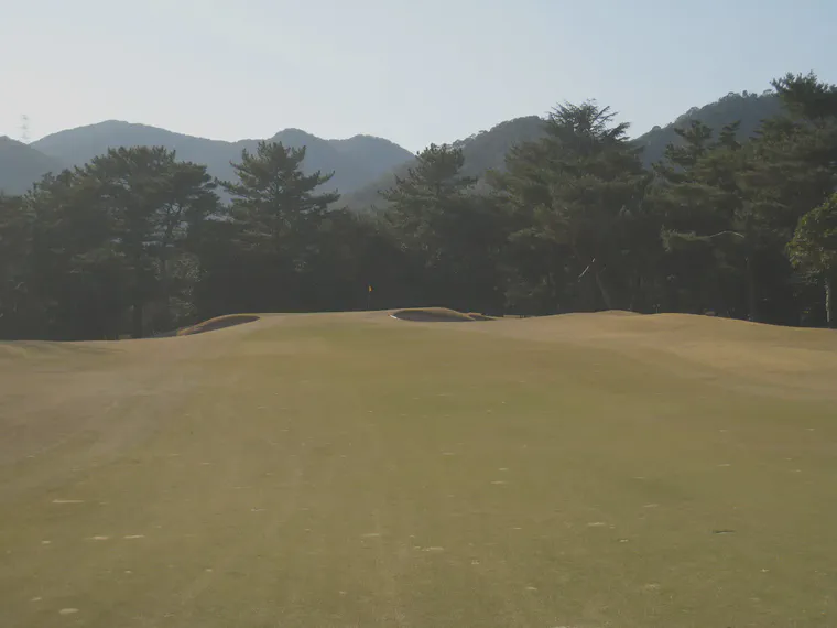 Weed and disease free zoysia in western Japan, March