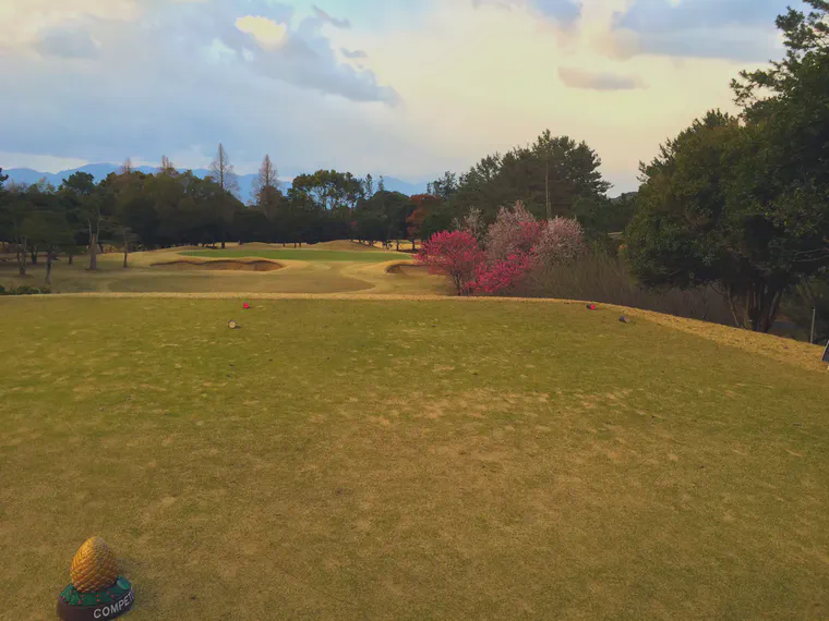 Tee at Keya GC Hole 12 in mid-March 2014 after more than 19,000 rounds on dormant manilagrass, photo courtesy of Andrew McDaniel
