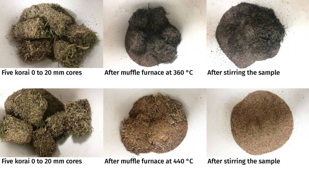 Temperature for loss on ignition in turfgrass soils Asian Turfgrass