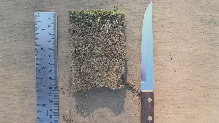 A sample collected from a soil profiler prior to cutting at 2, 4, and 6 cm depths below the soil surface.