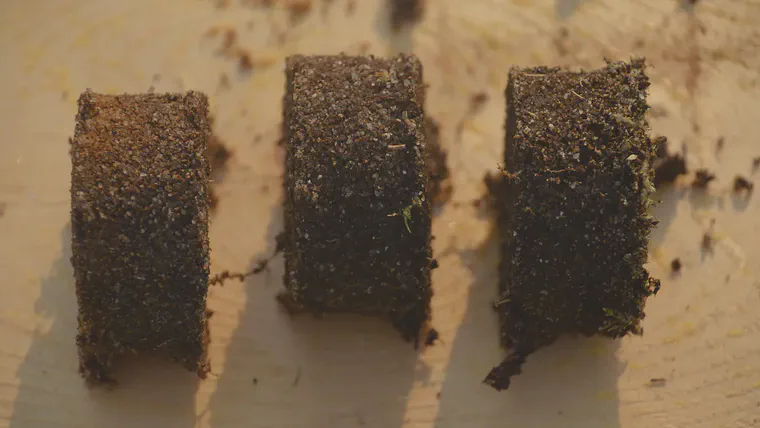 A sample cut to depth at 2, 4, and 6 cm below the soil surface.