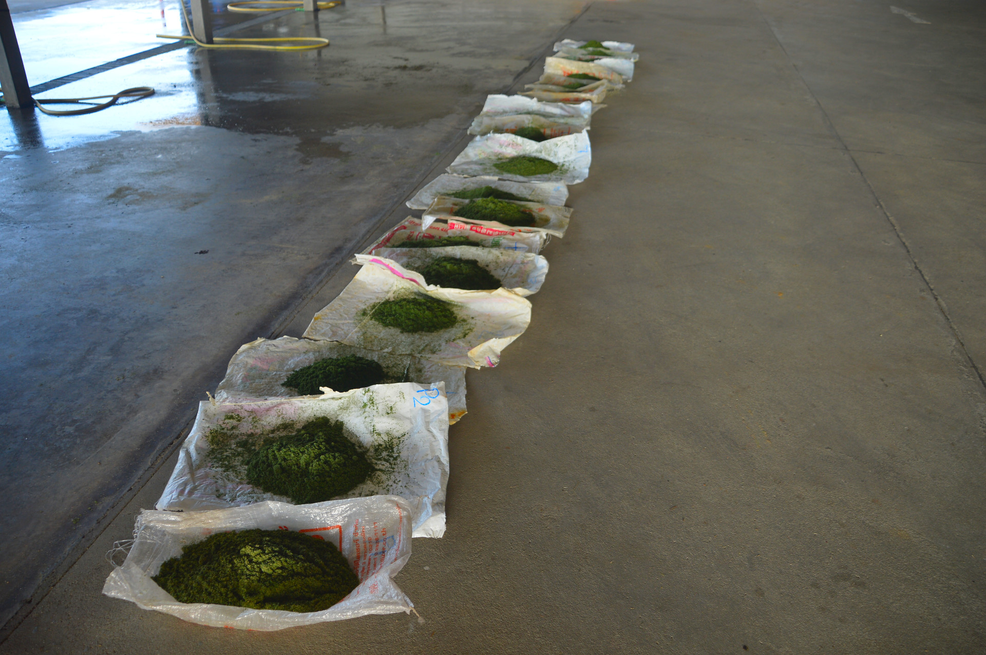 Nitrogen harvested in clippings calculation update for 2024 Asian Turfgrass Center