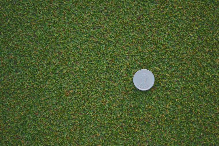 Close-up of korai putting surface at Keya GC during the KBC Augusta 2013 tournament